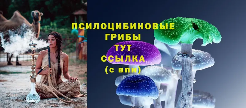 Псилоцибиновые грибы Psilocybine cubensis  ссылка на мегу рабочий сайт  Катав-Ивановск 